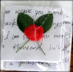 Boyle - Rose on a Letter